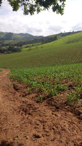 Imóvel Sítio em MONTE ALEGRE DO SUL