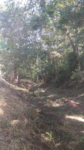 Imóvel Sítio em MONTE ALEGRE DO SUL