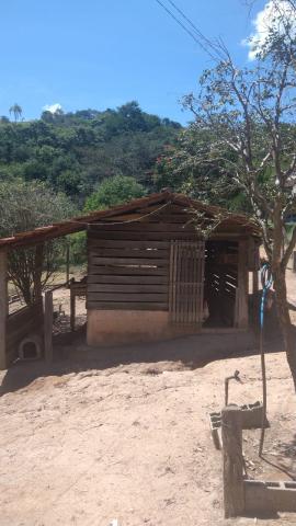 Imóvel Sítio em MONTE ALEGRE DO SUL