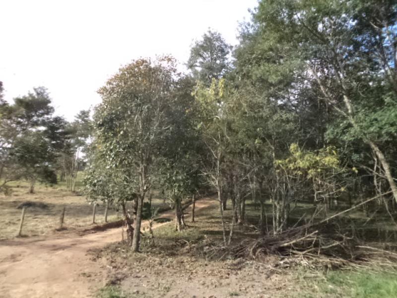 Imóvel Sítio em AMPARO